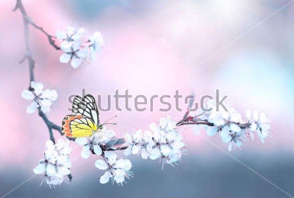  артикул 10032721