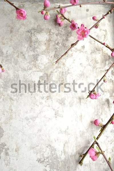  артикул 10032736