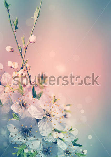  артикул 10032717