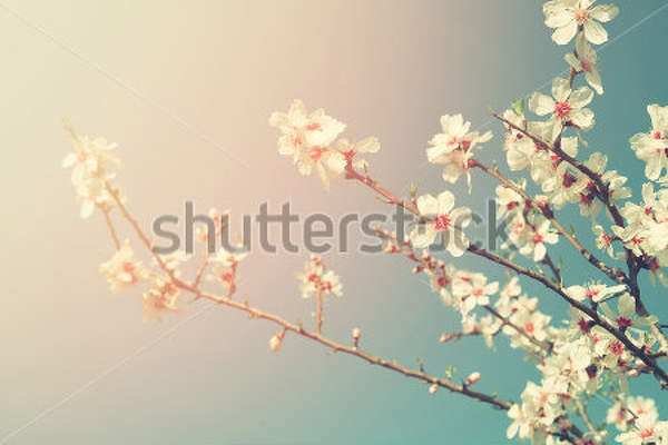  артикул 10032738