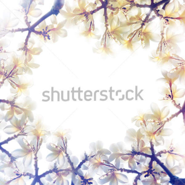  артикул 10032693