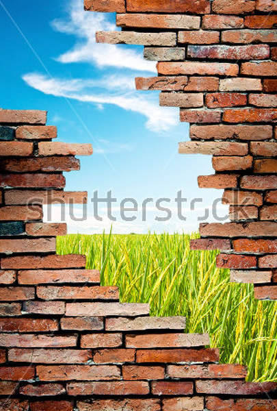 артикул 10032876