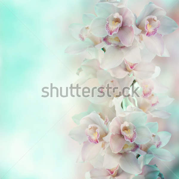  артикул 10032673