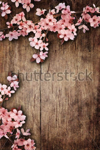  артикул 10032669