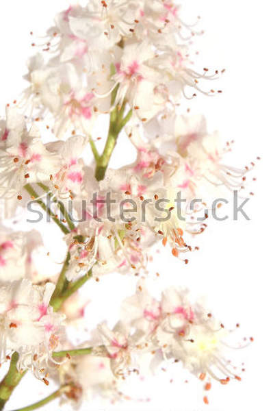  артикул 10032708