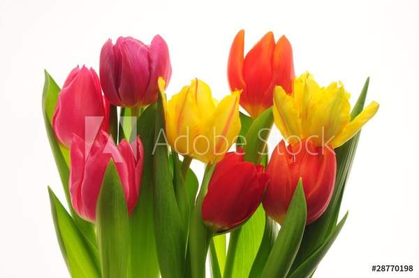  артикул 10032891