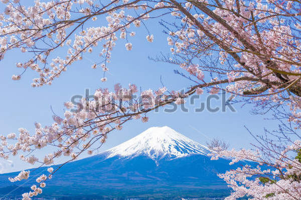  артикул 10033199