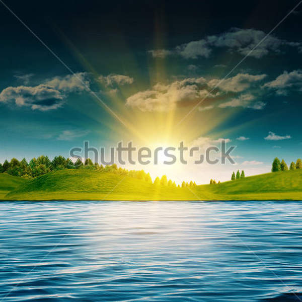  артикул 10033384