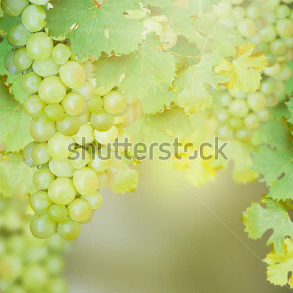  артикул 10033987