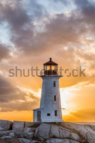  артикул 10034437