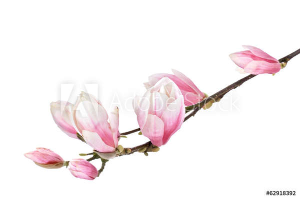  артикул 10034523