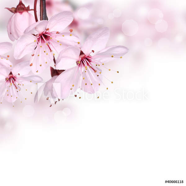  артикул 10034526