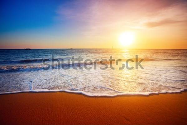  артикул 10034631