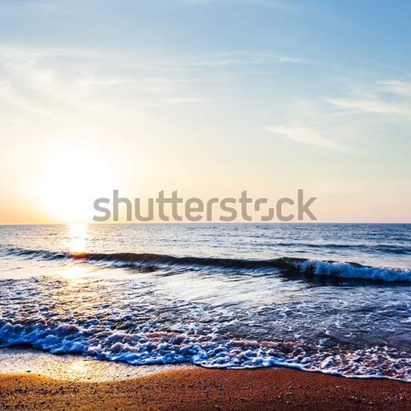  артикул 10034628