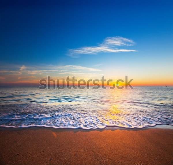  артикул 10034630
