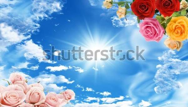  артикул 10034703