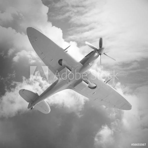  артикул 10034761