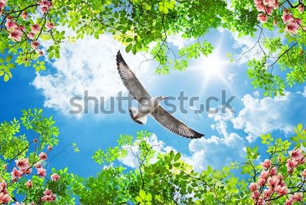  артикул 10034851