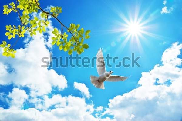  артикул 10034831