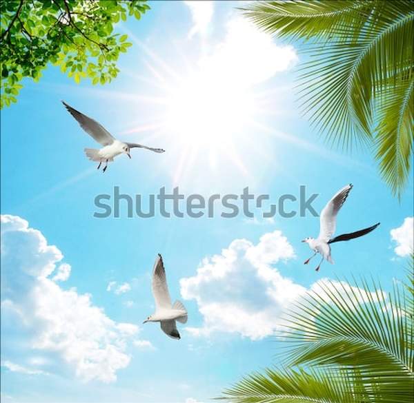  артикул 10034823