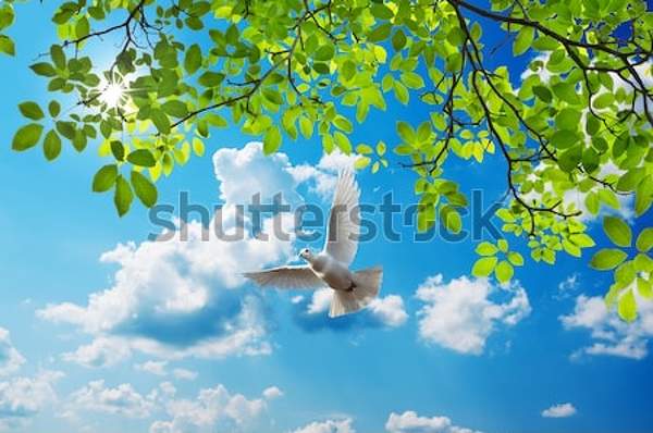  артикул 10034830