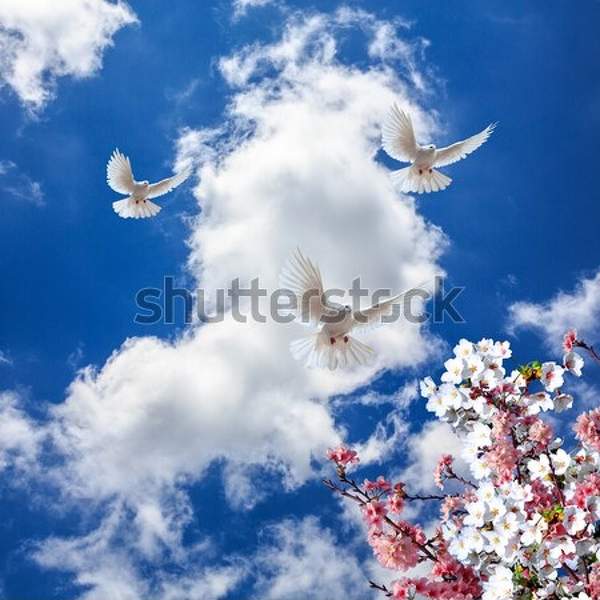  артикул 10034861