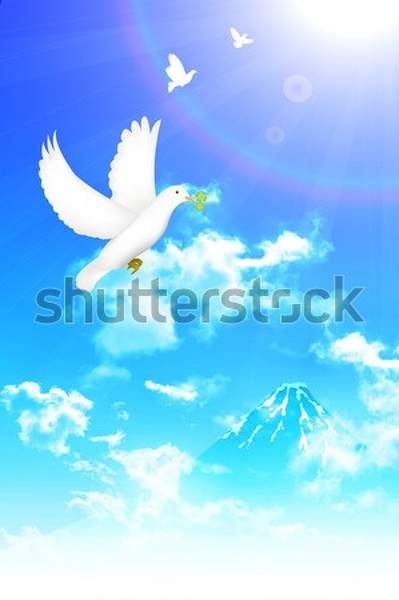  артикул 10034848