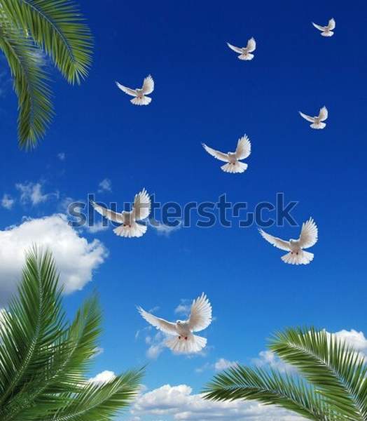  артикул 10034824