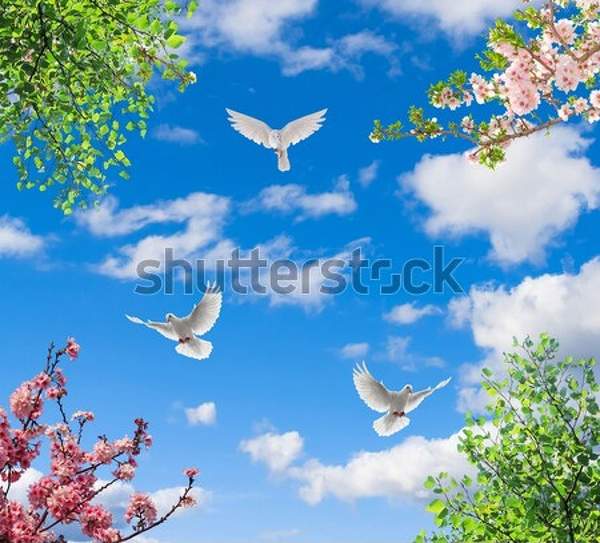  артикул 10034828