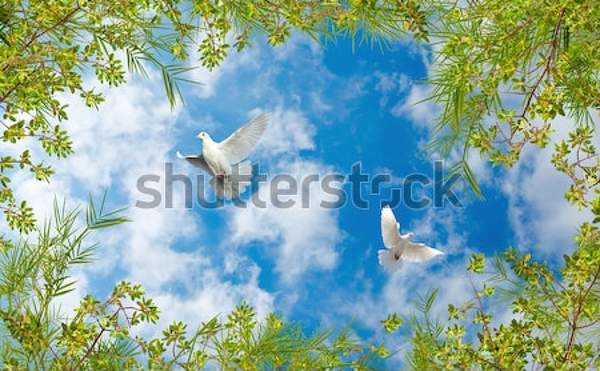  артикул 10034834