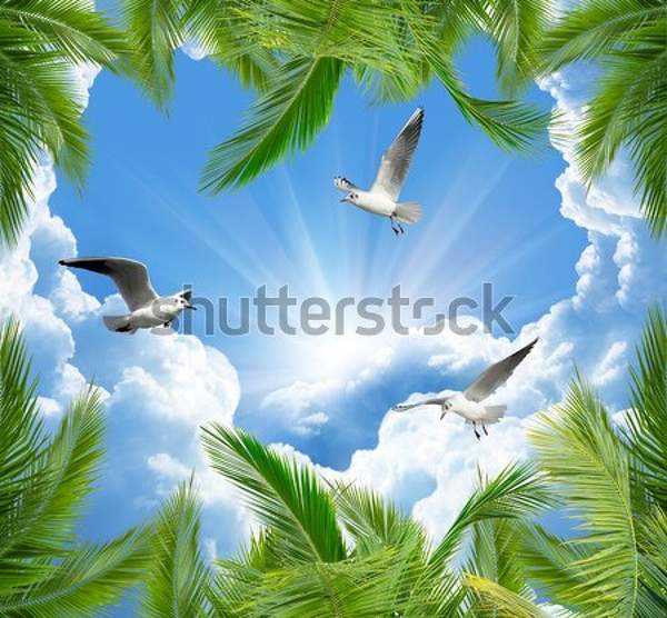  артикул 10034832