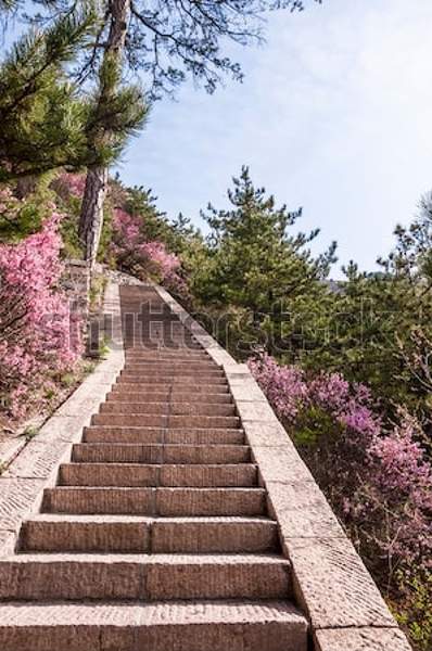  артикул 10034944