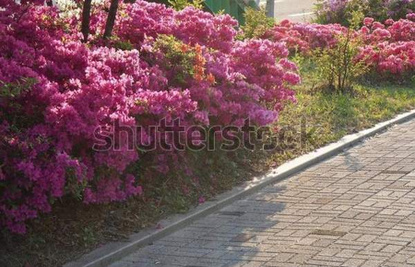  артикул 10035049