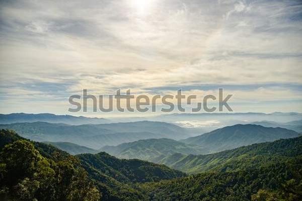  артикул 10035242