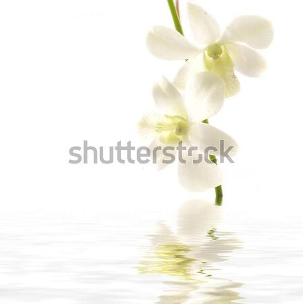  артикул 10035244