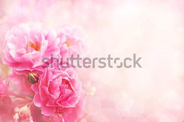  артикул 10035296