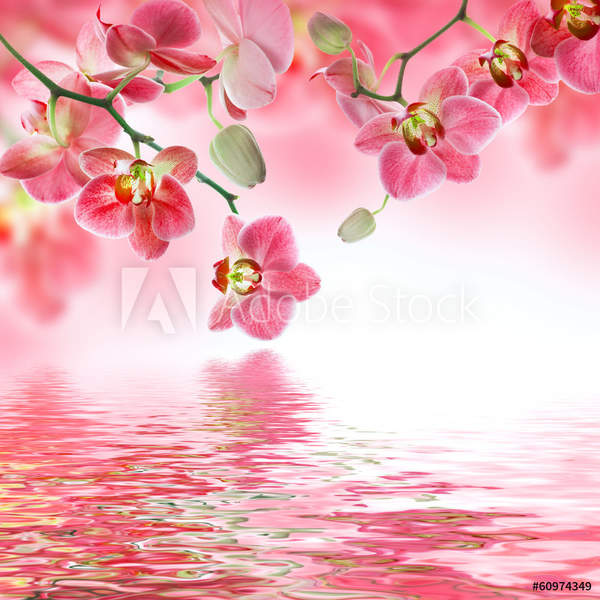  артикул 10035284