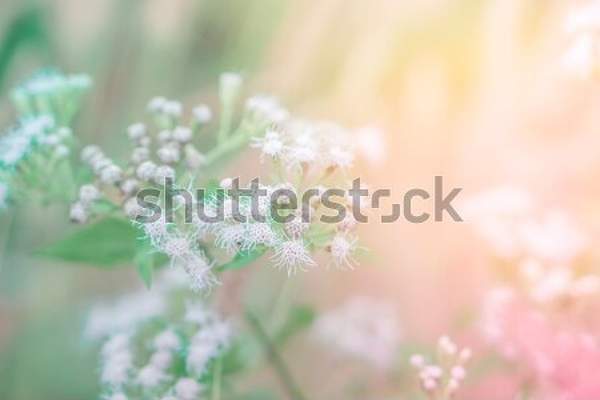  артикул 10035391