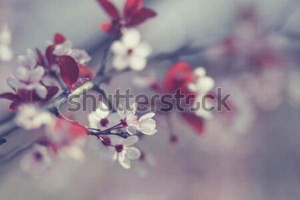  артикул 10035378