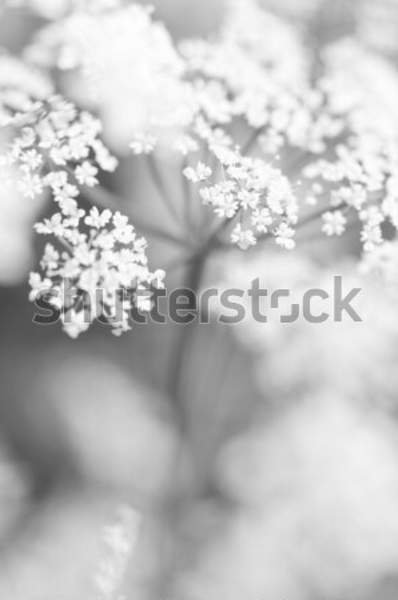  артикул 10035364