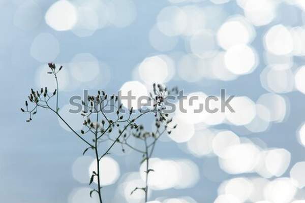  артикул 10035389