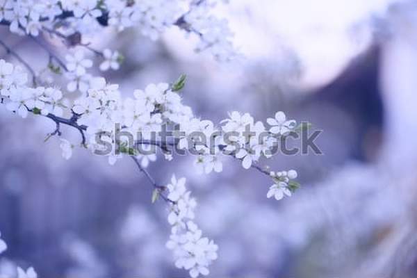  артикул 10035379