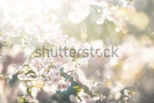  артикул 10035385
