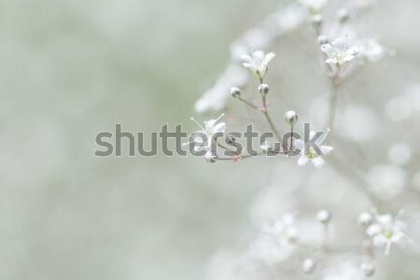  артикул 10035377