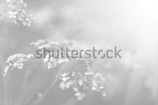  артикул 10035384