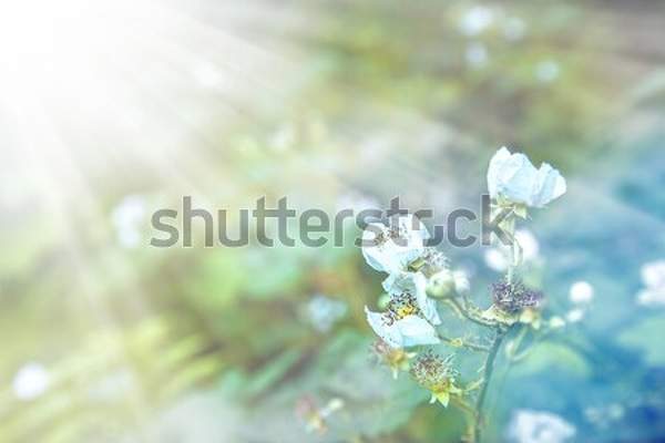  артикул 10035394