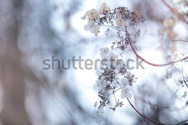  артикул 10035386