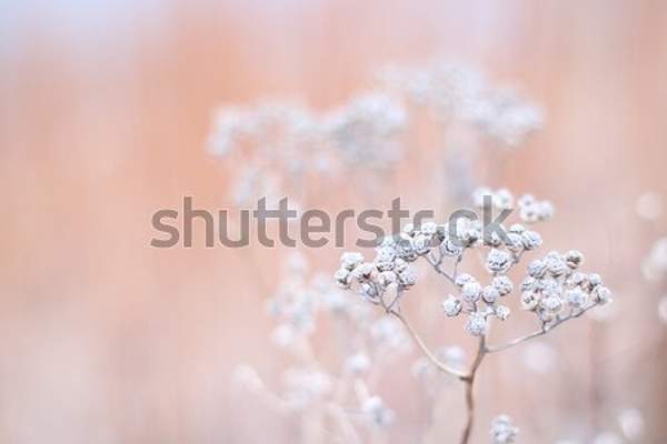  артикул 10035382