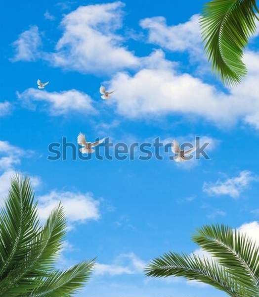  артикул 10035426