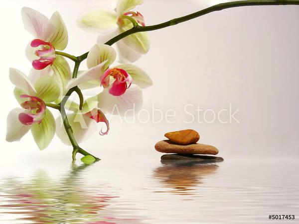  артикул 10035528